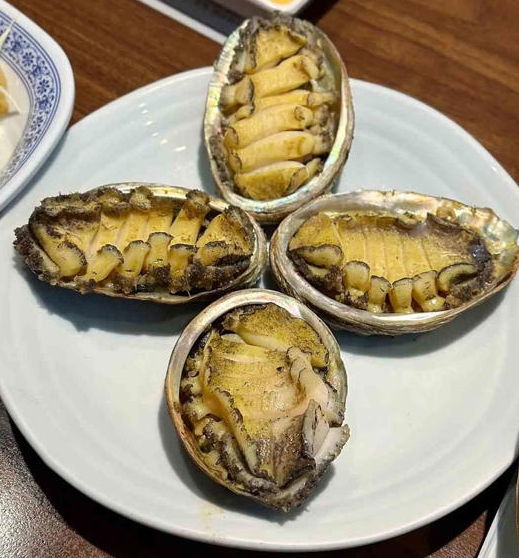 鲍鱼.png
